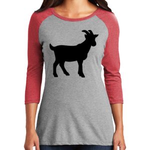 Women's 3/4 Raglan Tee Thumbnail