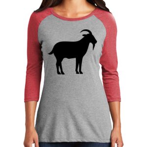 Women's 3/4 Raglan Tee Thumbnail