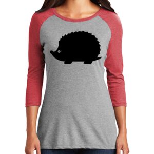Women's 3/4 Raglan Tee Thumbnail