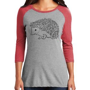 Women's 3/4 Raglan Tee Thumbnail