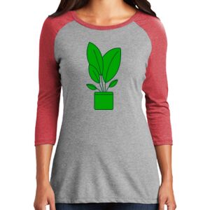 Women's 3/4 Raglan Tee Thumbnail