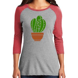 Women's 3/4 Raglan Tee Thumbnail