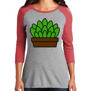 Women's 3/4 Raglan Tee Thumbnail