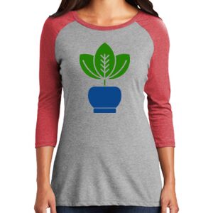 Women's 3/4 Raglan Tee Thumbnail