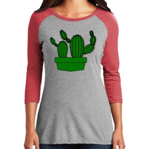 Women's 3/4 Raglan Tee Thumbnail