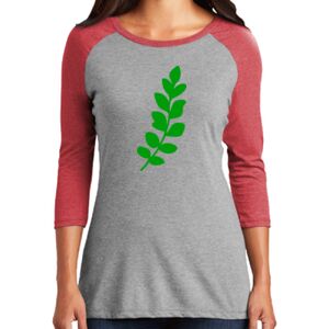 Women's 3/4 Raglan Tee Thumbnail