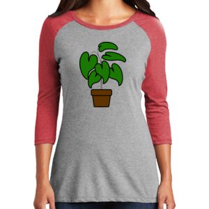 Women's 3/4 Raglan Tee Thumbnail
