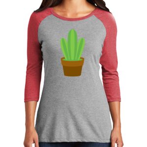 Women's 3/4 Raglan Tee Thumbnail