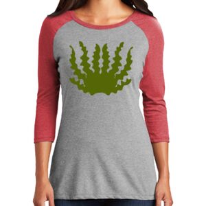 Women's 3/4 Raglan Tee Thumbnail