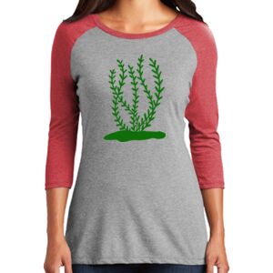 Women's 3/4 Raglan Tee Thumbnail