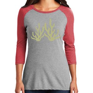 Women's 3/4 Raglan Tee Thumbnail