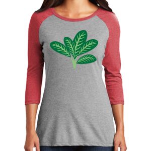 Women's 3/4 Raglan Tee Thumbnail