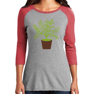 Women's 3/4 Raglan Tee Thumbnail