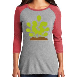 Women's 3/4 Raglan Tee Thumbnail