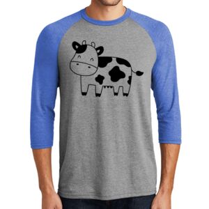TriBlend 3/4 Raglan Tee Thumbnail