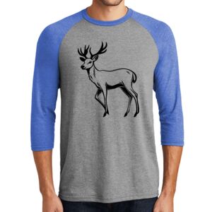 TriBlend 3/4 Raglan Tee Thumbnail