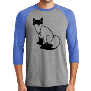 TriBlend 3/4 Raglan Tee Thumbnail