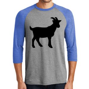 TriBlend 3/4 Raglan Tee Thumbnail