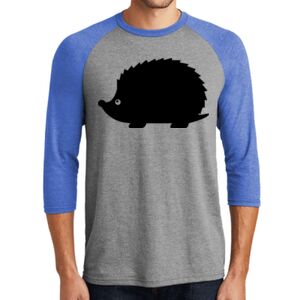 TriBlend 3/4 Raglan Tee Thumbnail