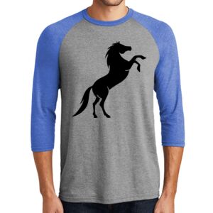 TriBlend 3/4 Raglan Tee Thumbnail