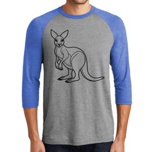 TriBlend 3/4 Raglan Tee Thumbnail