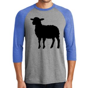 TriBlend 3/4 Raglan Tee Thumbnail