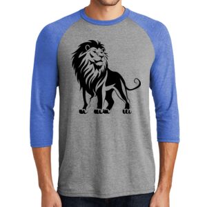 TriBlend 3/4 Raglan Tee Thumbnail