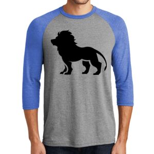 TriBlend 3/4 Raglan Tee Thumbnail