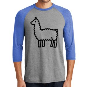 TriBlend 3/4 Raglan Tee Thumbnail