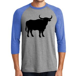 TriBlend 3/4 Raglan Tee Thumbnail