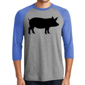 TriBlend 3/4 Raglan Tee Thumbnail