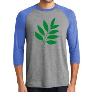 TriBlend 3/4 Raglan Tee Thumbnail