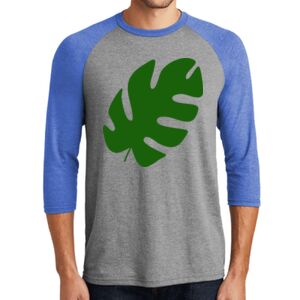 TriBlend 3/4 Raglan Tee Thumbnail