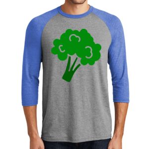 TriBlend 3/4 Raglan Tee Thumbnail