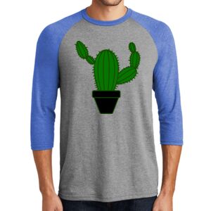 TriBlend 3/4 Raglan Tee Thumbnail
