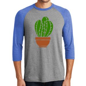TriBlend 3/4 Raglan Tee Thumbnail