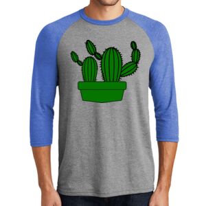 TriBlend 3/4 Raglan Tee Thumbnail