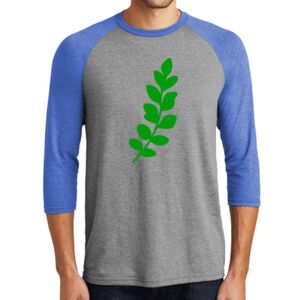 TriBlend 3/4 Raglan Tee Thumbnail