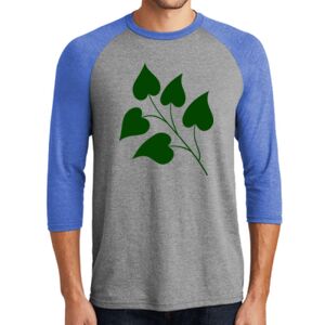 TriBlend 3/4 Raglan Tee Thumbnail