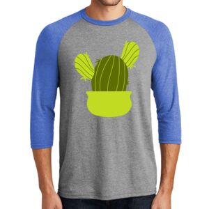 TriBlend 3/4 Raglan Tee Thumbnail