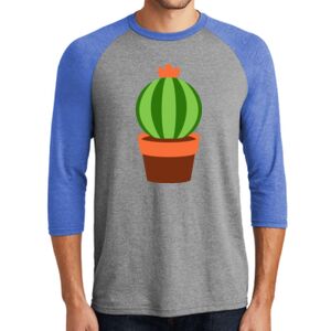 TriBlend 3/4 Raglan Tee Thumbnail