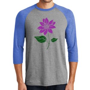 TriBlend 3/4 Raglan Tee Thumbnail
