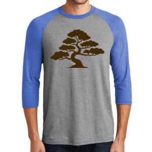 TriBlend 3/4 Raglan Tee Thumbnail