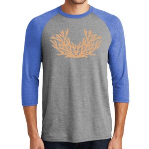 TriBlend 3/4 Raglan Tee Thumbnail