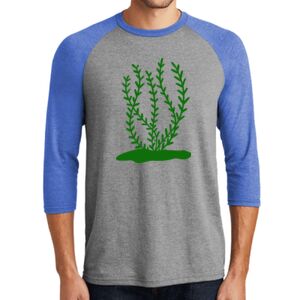TriBlend 3/4 Raglan Tee Thumbnail