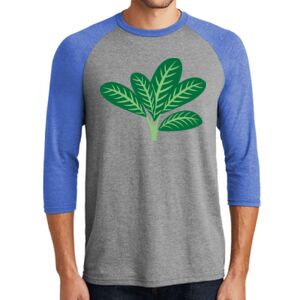 TriBlend 3/4 Raglan Tee Thumbnail
