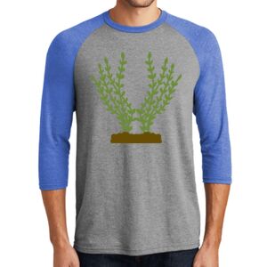 TriBlend 3/4 Raglan Tee Thumbnail