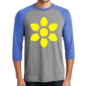TriBlend 3/4 Raglan Tee Thumbnail
