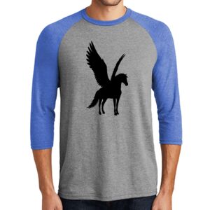 TriBlend 3/4 Raglan Tee Thumbnail